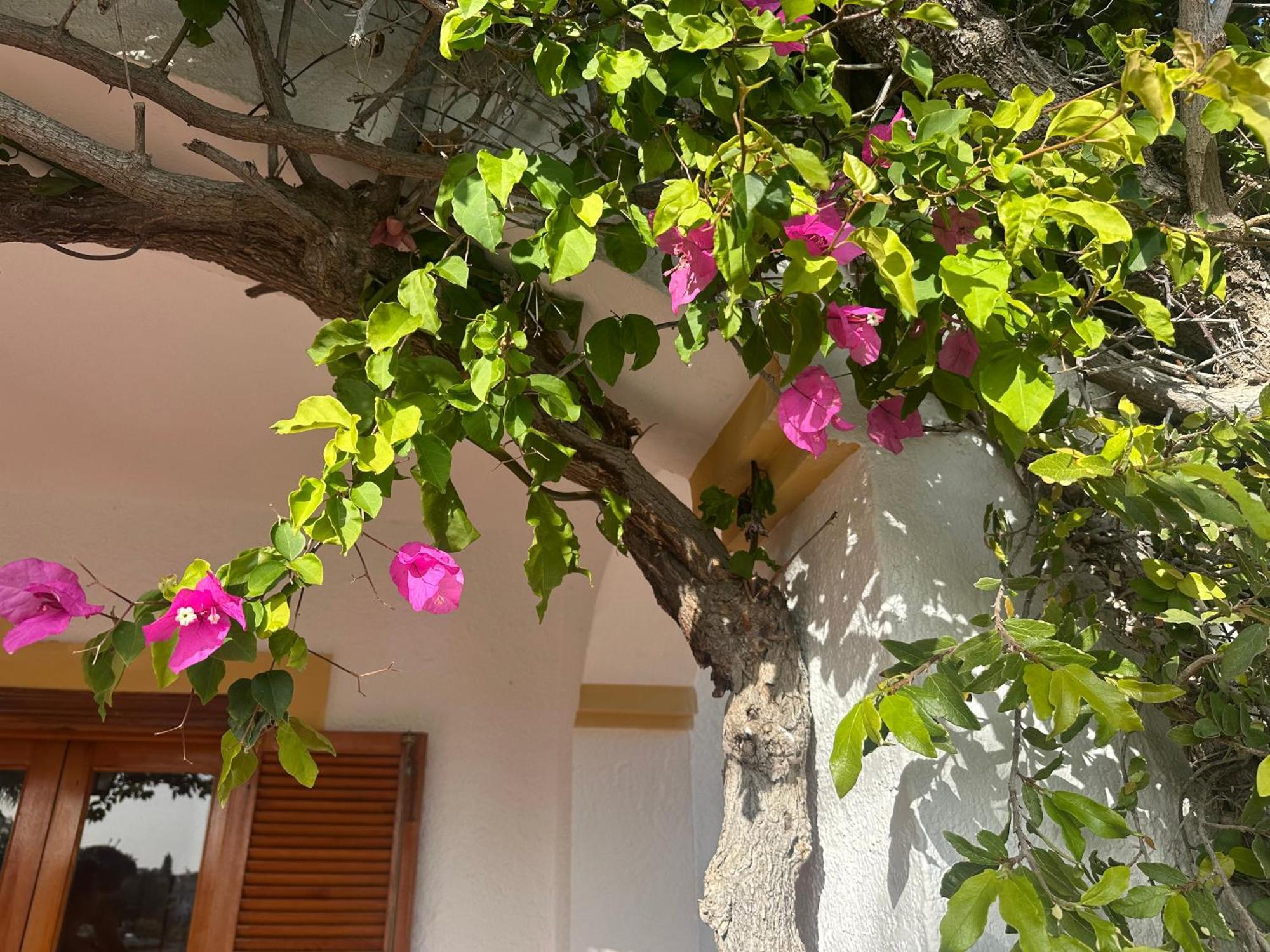 Casa Hermosa 米哈斯 外观 照片